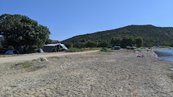Zdjęcie Despot beach dziki obszar