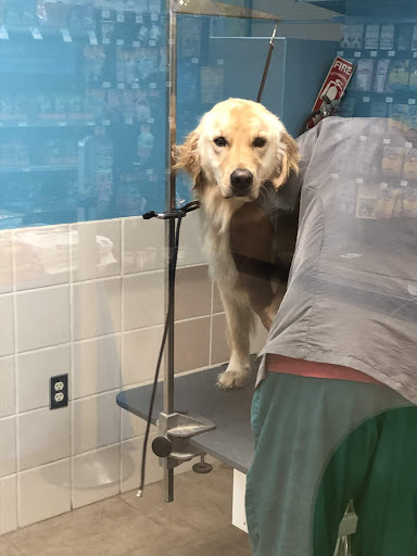 Pet Supply Store «Petco Animal Supplies», reviews and photos, 2515 Corridor Way #3, Coralville, IA 52241, USA