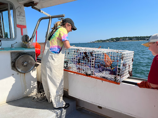 Sightseeing Tour Agency «Lulu Lobster Boat Ride», reviews and photos, 55 West St, Bar Harbor, ME 04609, USA