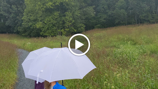 Modern Art Museum «Glenstone», reviews and photos, 12002 Glen Rd, Potomac, MD 20854, USA