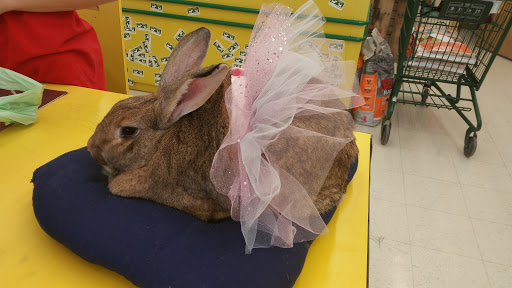 Pet Supply Store «Pet Supplies Plus», reviews and photos, 14839 Detroit Ave, Lakewood, OH 44107, USA