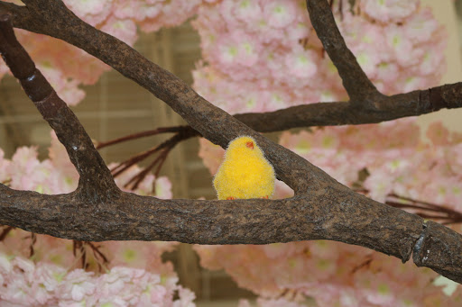 Gift Shop «Trendy Trunk LLC», reviews and photos, 217 Indian Lake Blvd Suite 1007, Hendersonville, TN 37075, USA