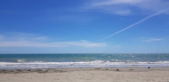 Moturoa Rabbit Beach