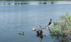 Harriman Lake