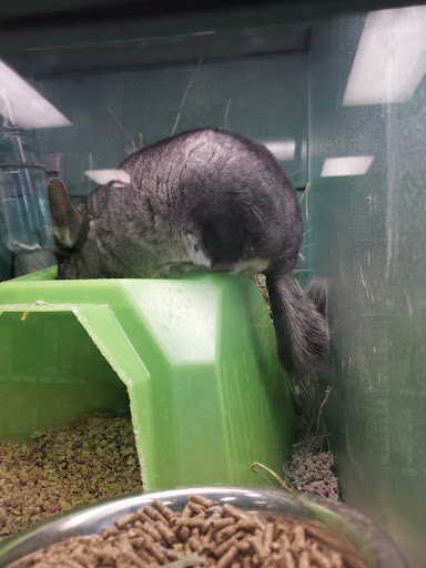 Pet Supply Store «Atlas Pet Supply», reviews and photos, 1798 Market Dr, Stillwater, MN 55082, USA