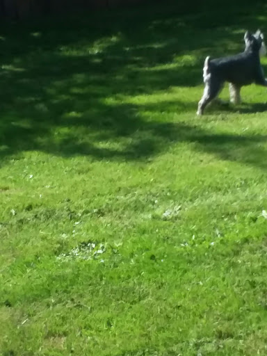 Park «Melilah Park», reviews and photos, SW 182nd Ave, Aloha, OR 97006, USA