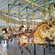 CFJ Carousel