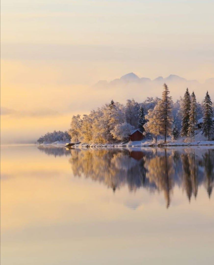 Bodø, Norveç