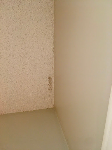 Painter «The Painting Company», reviews and photos, 210 W Crossville Rd, Roswell, GA 30075, USA