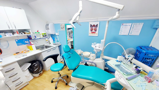 Opiniones de Clínica Dental Salud Austral en Puerto Montt - Dentista