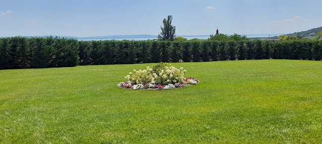 Dörgicse, Csörgőfa u. 33/2, 8244