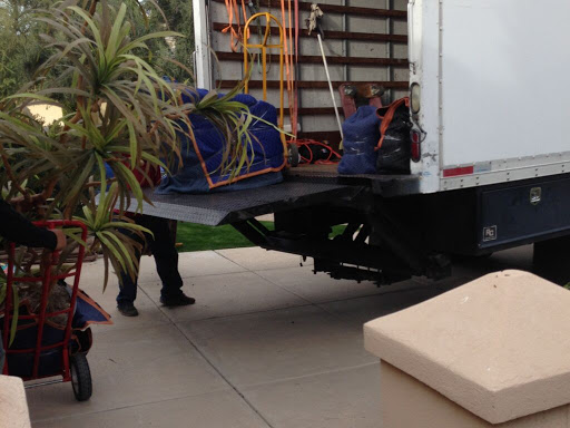 Performing Arts Theater «Queen Creek Performing Arts Center», reviews and photos, 22149 E Ocotillo Rd, Queen Creek, AZ 85142, USA