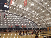 Better Basketball Skills - Photo 6 - Car repair in , Binghamton