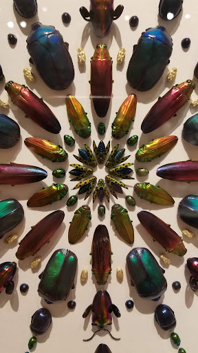 Jeweler «TWIST», reviews and photos, 30 NW 23rd Pl, Portland, OR 97210, USA