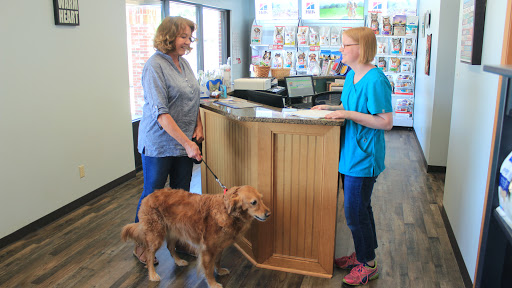 Westport Animal Clinic image