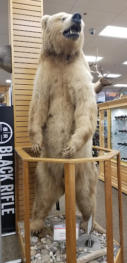 Sporting Goods Store «SCHEELS», reviews and photos, 4710 Golf Rd, Eau Claire, WI 54701, USA