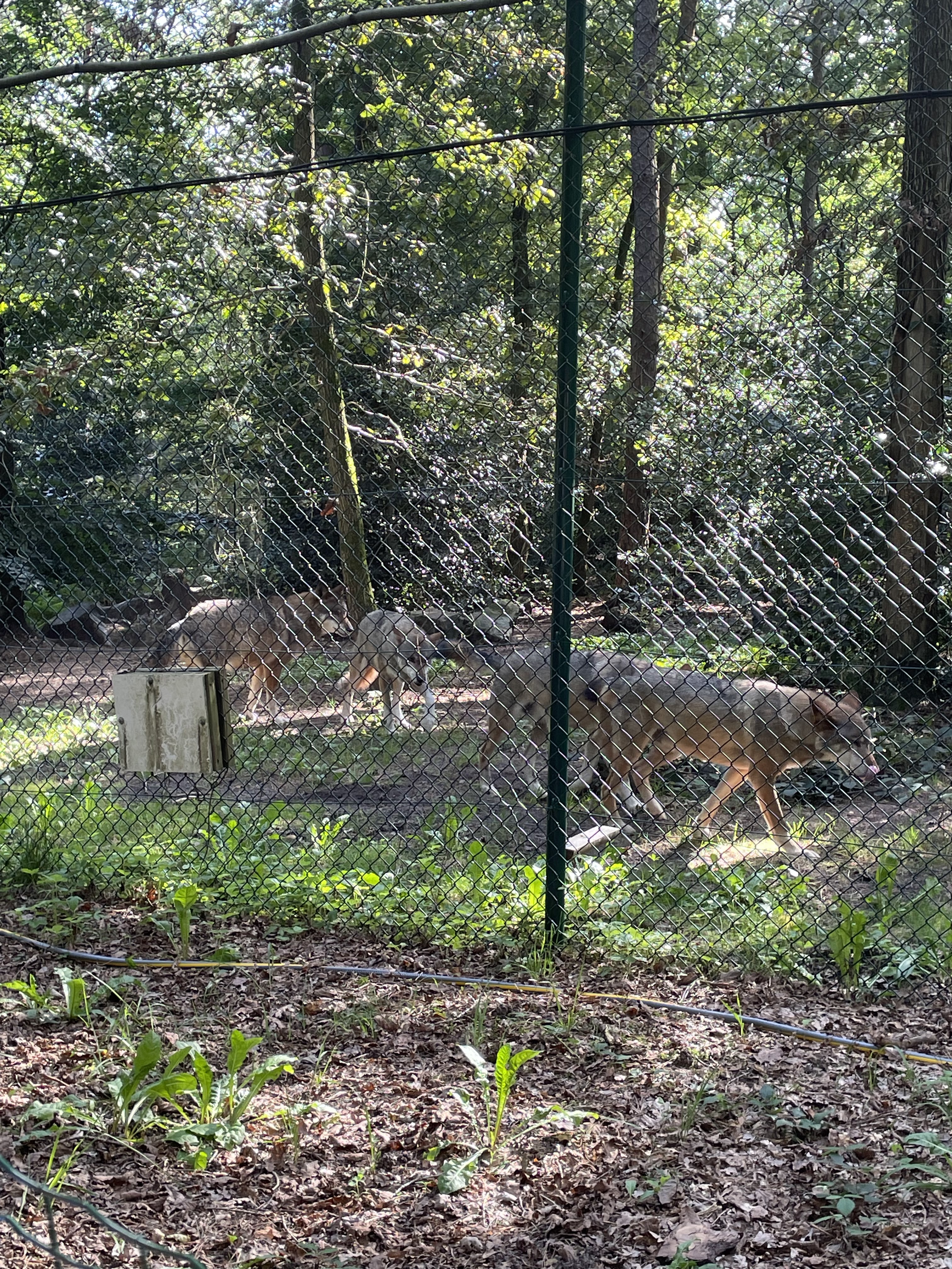 Photo n° 38 de l'avis de catherine.h fait le 22/08/2023 à 10:19