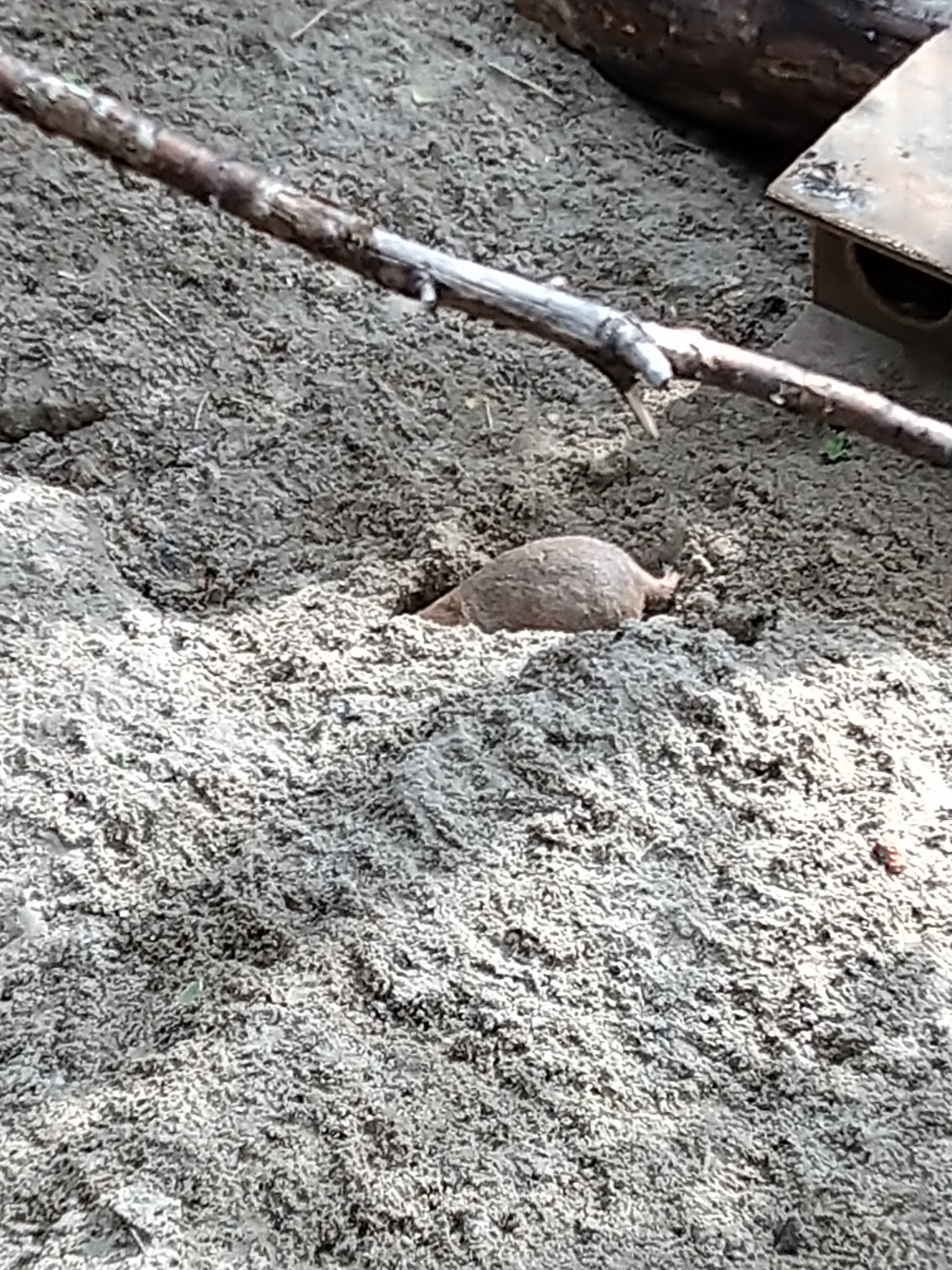 Photo n° 10 de l'avis de HardLoSeDa. fait le 15/08/2019 à 14:36