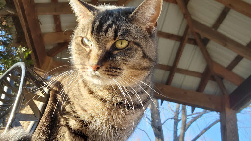 Winery «Aspen Dale Winery at the Barn», reviews and photos, 11083 John Marshall Hwy, Delaplane, VA 20144, USA