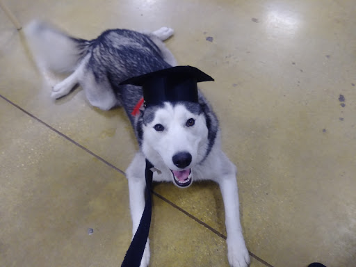 Pet Supply Store «PetSmart», reviews and photos, 11132 Abercorn St, Savannah, GA 31419, USA