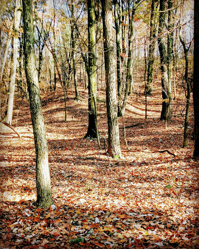 Landmark «The Pagoda», reviews and photos, 98 Duryea Dr, Reading, PA 19602, USA