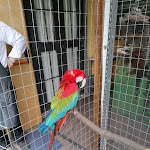 Photo n°10 de l'avis de Alessio.e fait le 24/04/2022 à 14:37 sur le  Braceria Binario 3052 à Salerno