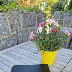 Photo n°21 de l'avis de Jörg.o fait le 17/06/2023 à 16:25 sur le  Restaurant Daheim à Lohme