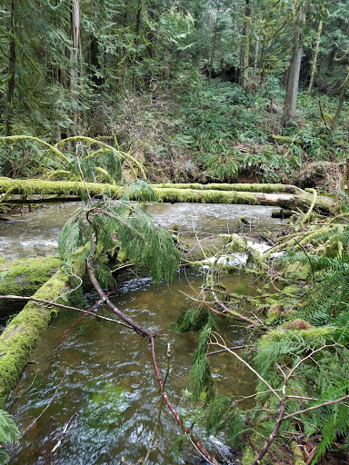 Performing Arts Theater «Kitsap Forest Theater», reviews and photos, 3000 Seabeck Hwy NW, Bremerton, WA 98312, USA