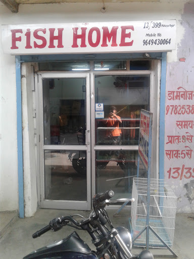 fish home