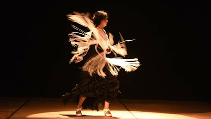 Kατερίνα Albertini Βούλγαρη Flamenco lessons