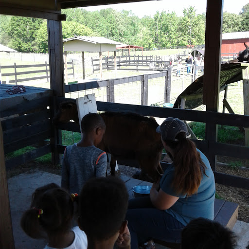 Wedding Venue «Rancho Alegre Farm», reviews and photos, 2225 Givens Rd, Dacula, GA 30019, USA