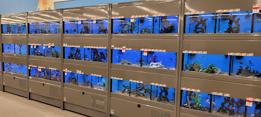 Pet Supply Store «Pet Supplies Plus», reviews and photos, 646 Long Hill Rd, Groton, CT 06340, USA