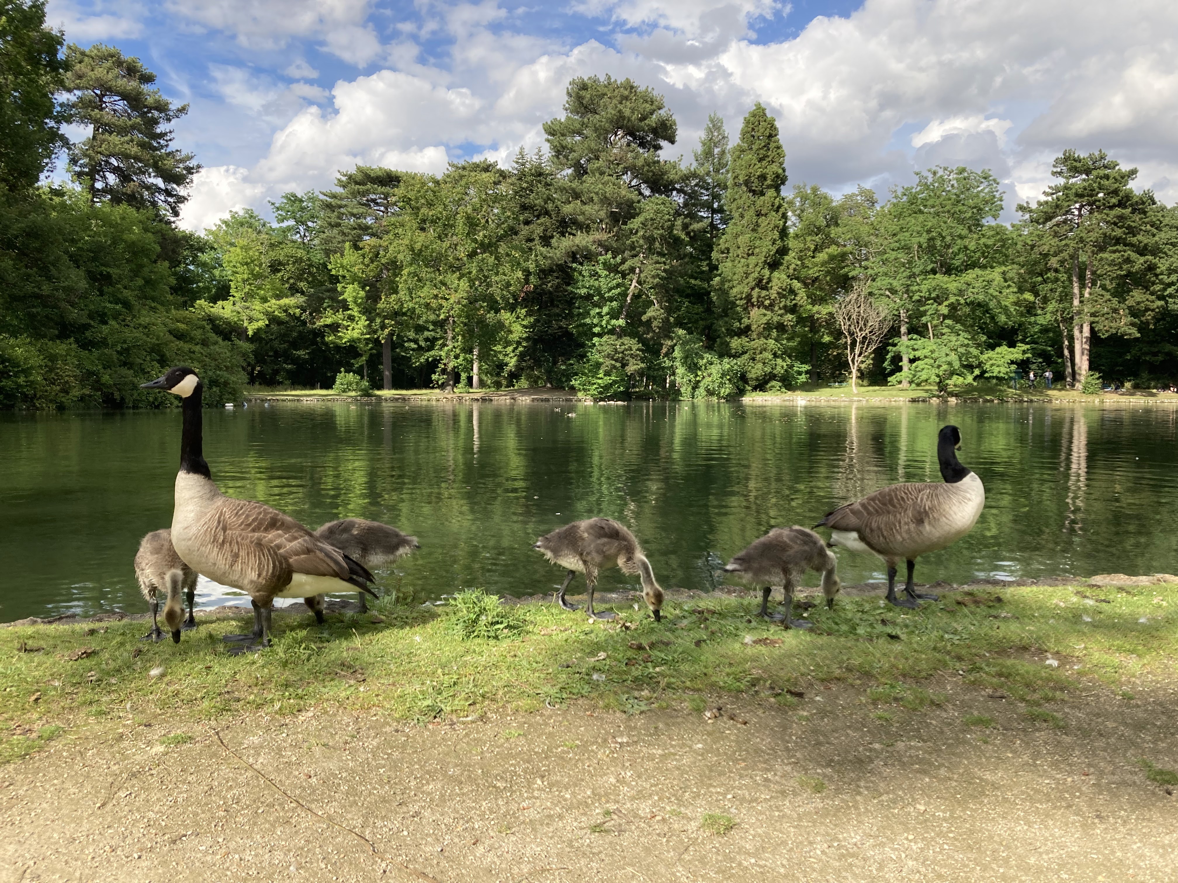 Photo n° 1 de l'avis de #msky. fait le 15/06/2022 à 17:14