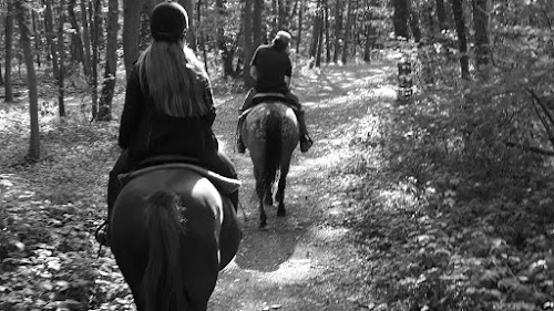 attractions Buffalo Ranch : Equitation western et randonnées équestres Vernouillet