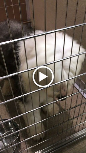 Grocery Store «North Shore Farms», reviews and photos, 770 Port Washington Blvd, Port Washington, NY 11050, USA