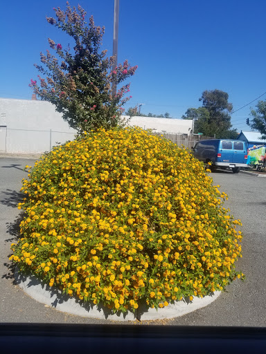 Discount Store «Dollar General», reviews and photos, 20 W 10th St, Antioch, CA 94509, USA