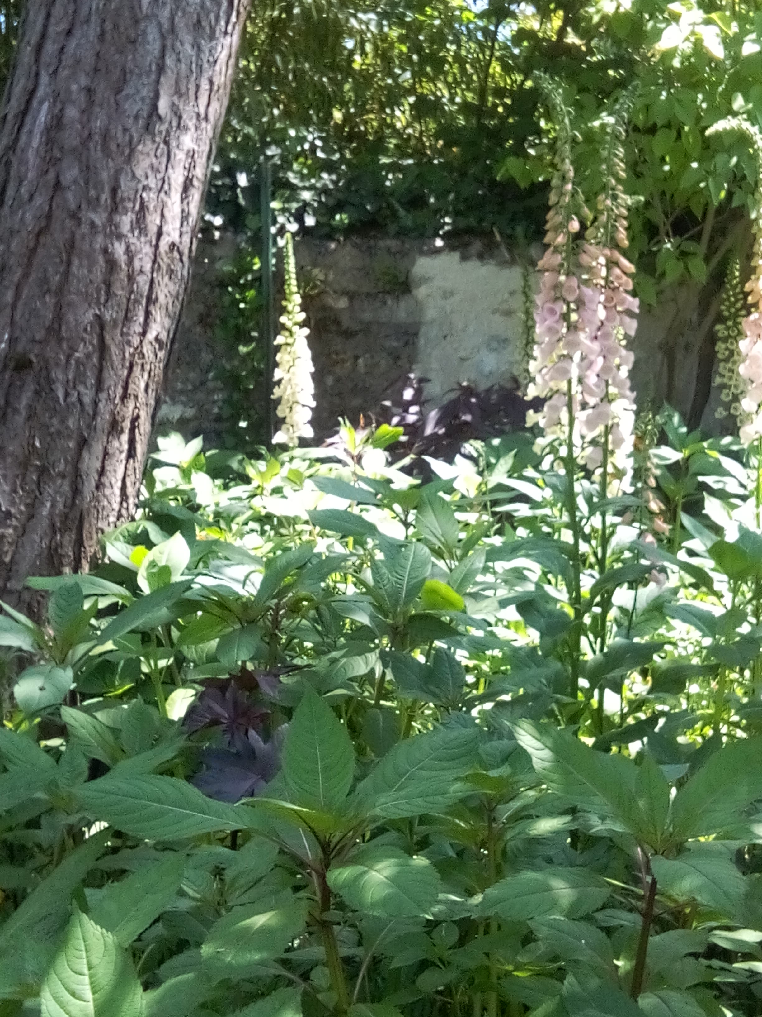 Photo n° 25 de l'avis de M. fait le 02/06/2019 à 08:14