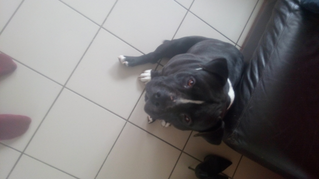 Photo n° 1 de l'avis de xoxuxx. fait le 18/05/2019 à 10:18