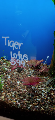 Tropical Fish Store «Monfort Aquarium & Pet», reviews and photos, 6520 Colerain Ave, Cincinnati, OH 45239, USA