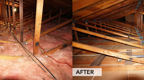 Attic cleaning & Proofing