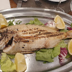 Photo n°9 de l'avis de Raffaeros. fait le 19/04/2024 à 21:29 sur le  Trattoria da Pasquale à Capri