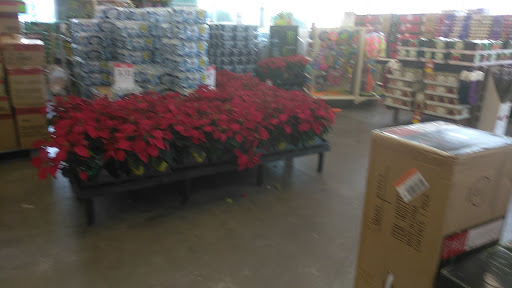 Department Store «Kmart», reviews and photos, 1602 W Brandon Blvd, Brandon, FL 33511, USA