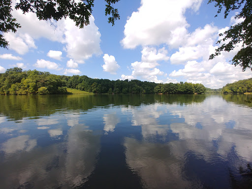 Recreation Center «Go Ape Zip Line & Treetop Adventure - Rock Creek Regional Park», reviews and photos, 6129 Needwood Lake Dr, Rockville, MD 20855, USA
