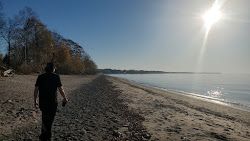Photo de Point Gratiot Beach et le règlement