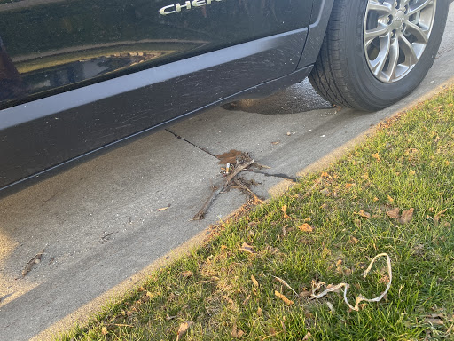 Car Dealer «Northland Chrysler Jeep Dodge RAM», reviews and photos, 14100 W 8 Mile Rd, Oak Park, MI 48237, USA