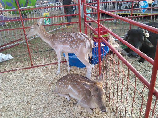 Event Venue «Mobile Fairgrounds», reviews and photos, 1035 Cody Rd N, Mobile, AL 36608, USA