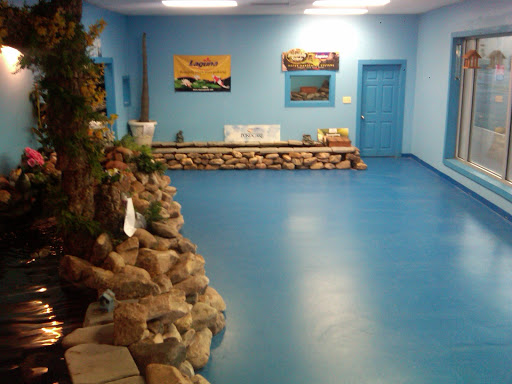 Tropical Fish Store «The Hidden Reef, Inc», reviews and photos, 4501 New Falls Rd, Levittown, PA 19056, USA