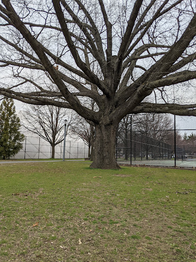 Park «Roy Wilkins Park,», reviews and photos, Merrick Blvd, Jamaica, NY 11434, USA