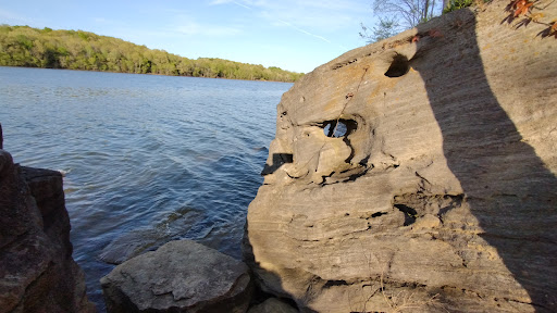 National Forest «Land Between the Lakes National Recreation Area», reviews and photos, 238 Visitor Center Dr, Golden Pond, KY 42211, USA