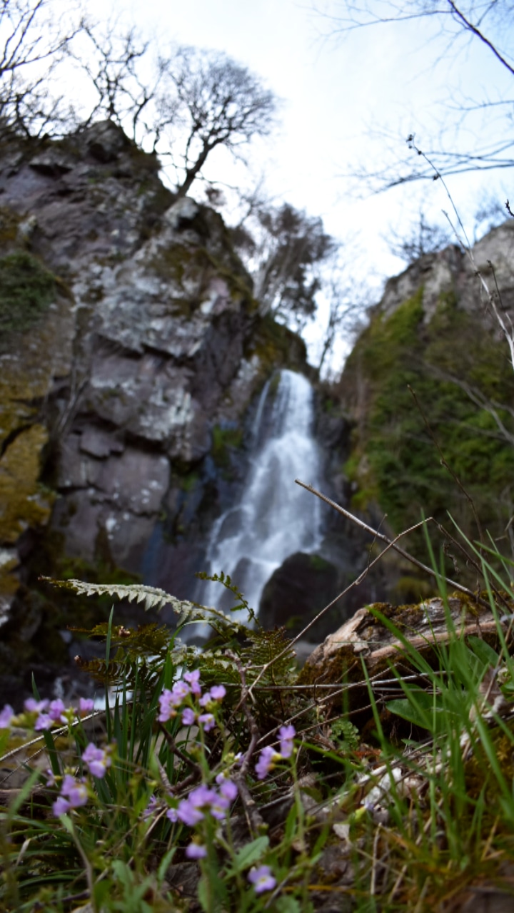 Photo n° 1 de l'avis de giuliani.a fait le 30/03/2019 à 20:37
